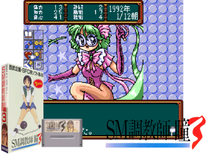SM Choukyoushi Hitomi Vol 3 Test (J) Cover